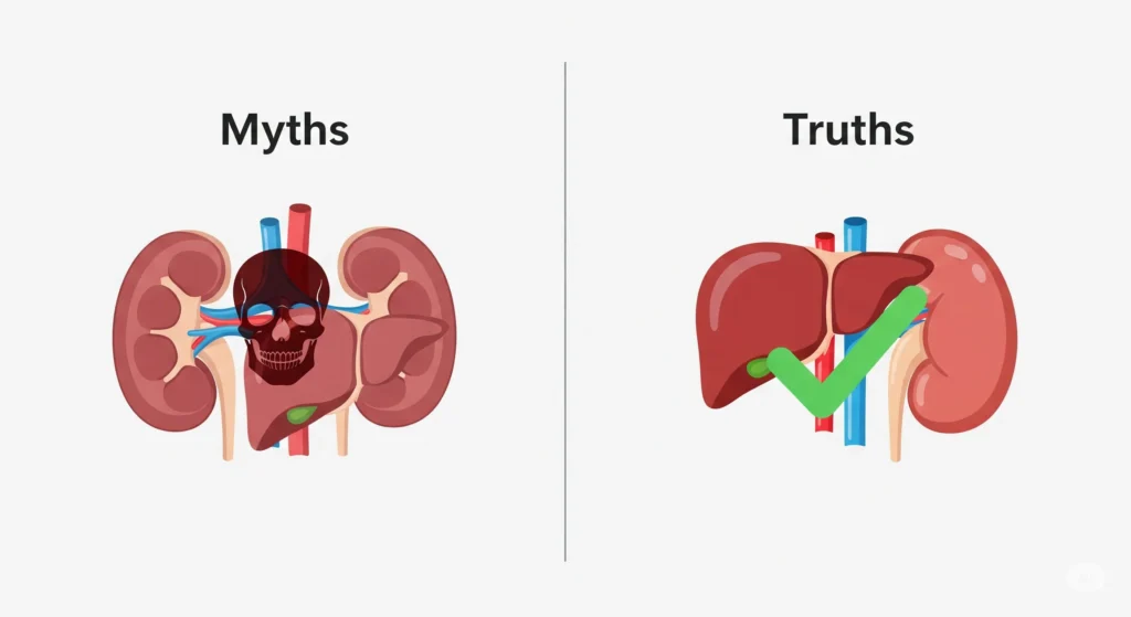 Gráfico comparando mitos e verdades do whey protein. Um lado mostra rins e fígado com caveira e o outro lado mostra órgãos saudáveis. Mitos sobre whey protein.